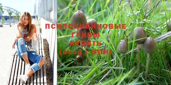 MDMA Михайловка